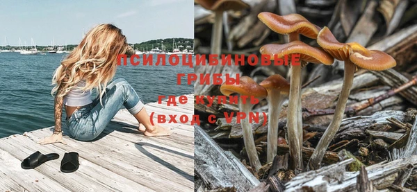 ешки Бугульма