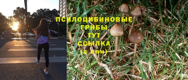 синтетический гашиш Бородино