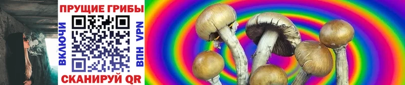 Псилоцибиновые грибы GOLDEN TEACHER  купить наркотик  Керчь 
